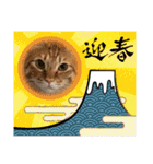 ちゃぴもかすみこ第4弾（個別スタンプ：16）