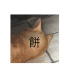 ちゃぴもかすみこ第4弾（個別スタンプ：19）