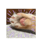 ちゃぴもかすみこ第4弾（個別スタンプ：20）