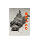 ちゃぴもかすみこ第4弾（個別スタンプ：24）