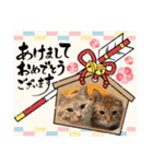 ちゃぴもかすみこ第4弾（個別スタンプ：28）