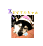 ワカメです！（個別スタンプ：1）
