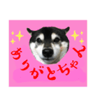 ワカメです！（個別スタンプ：2）