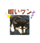 ワカメです！（個別スタンプ：4）