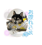 ワカメです！（個別スタンプ：5）