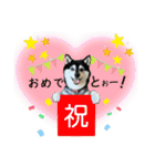 ワカメです！（個別スタンプ：6）
