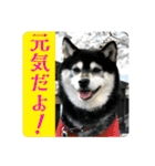 ワカメです！（個別スタンプ：7）