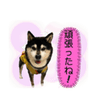 ワカメです！（個別スタンプ：8）