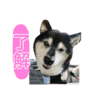 ワカメです！（個別スタンプ：9）