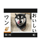 ワカメです！（個別スタンプ：10）