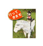 ワカメです！（個別スタンプ：14）