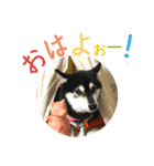 ワカメです！（個別スタンプ：15）