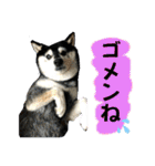 ワカメです！（個別スタンプ：16）