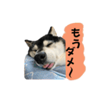 ワカメです！（個別スタンプ：17）