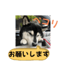 ワカメです！（個別スタンプ：18）
