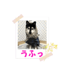 ワカメです！（個別スタンプ：22）
