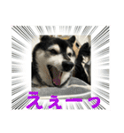 ワカメです！（個別スタンプ：23）