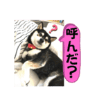 ワカメです！（個別スタンプ：26）