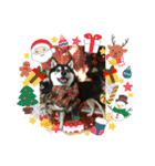 ワカメです！（個別スタンプ：30）