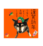 ワカメです！（個別スタンプ：32）