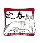 意外と使えるリアル猫の年末年始 [再販]（個別スタンプ：2）