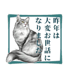 意外と使えるリアル猫の年末年始 [再販]（個別スタンプ：7）