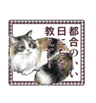 意外と使えるリアル猫の年末年始 [再販]（個別スタンプ：9）