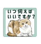 意外と使えるリアル猫の年末年始 [再販]（個別スタンプ：10）