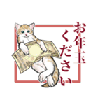 意外と使えるリアル猫の年末年始 [再販]（個別スタンプ：13）