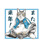 意外と使えるリアル猫の年末年始 [再販]（個別スタンプ：15）