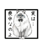 意外と使えるリアル猫の年末年始 [再販]（個別スタンプ：18）