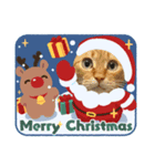 たまそらクリスマス2024（個別スタンプ：1）