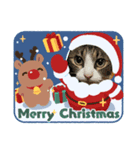 たまそらクリスマス2024（個別スタンプ：2）