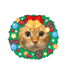 たまそらクリスマス2024（個別スタンプ：3）