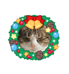 たまそらクリスマス2024（個別スタンプ：4）
