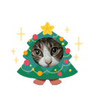 たまそらクリスマス2024（個別スタンプ：6）