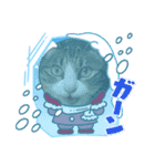 たまそらクリスマス2024（個別スタンプ：8）
