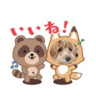 ぷっくりラテ（個別スタンプ：3）