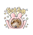 ぷっくりラテ（個別スタンプ：5）