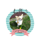 ラブリーシナモン（個別スタンプ：6）