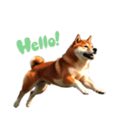ランナー柴犬太の日常会話（個別スタンプ：1）