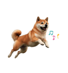 ランナー柴犬太の日常会話（個別スタンプ：3）