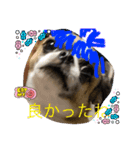 インサイド・キック（個別スタンプ：1）