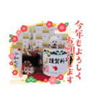 ビションのMINT♂︎冬version（個別スタンプ：2）