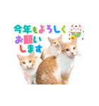 おめでたい動く親子ねこスタンプ（個別スタンプ：5）