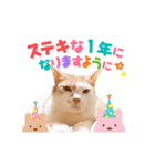 おめでたい動く親子ねこスタンプ（個別スタンプ：6）