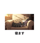 基本的なねこの動き（個別スタンプ：16）