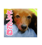 めぐななこつぐみ日記（個別スタンプ：12）