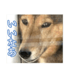 めぐななこつぐみ日記（個別スタンプ：21）
