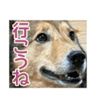 めぐななこつぐみ日記（個別スタンプ：24）